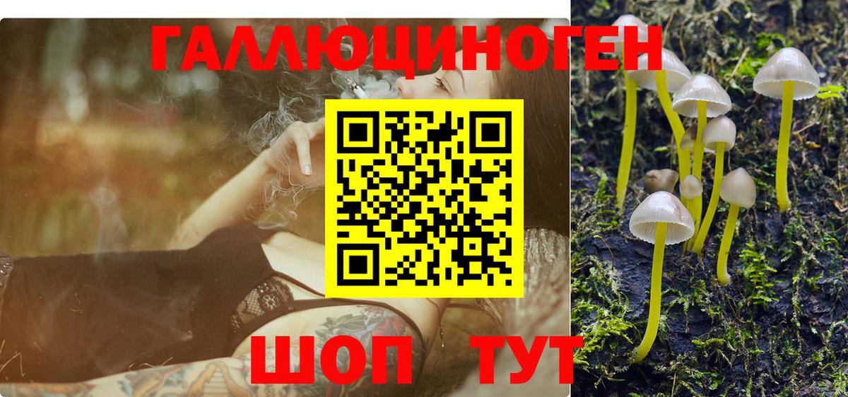 Галлюциногенные грибы MAGIC MUSHROOMS  Вход с VPN  Псилоцибиновые грибы ЛСД  Нижнеудинск 