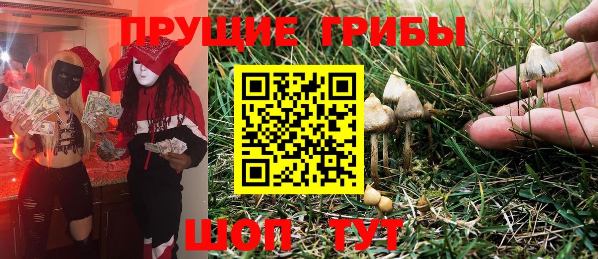 Галлюциногенные грибы Cubensis Нижнеудинск